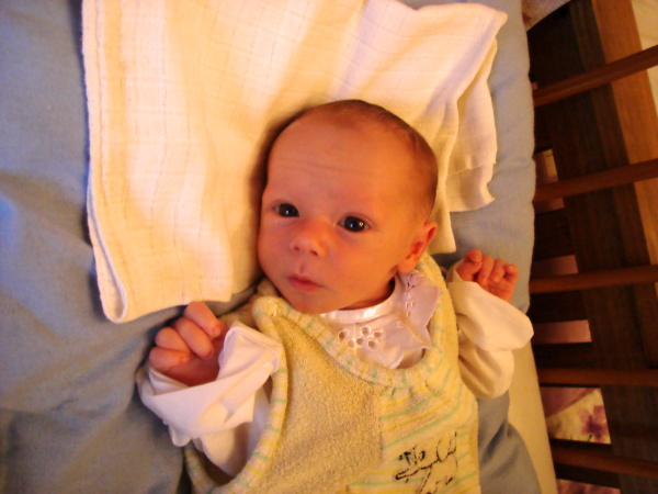 DSC00147.JPG