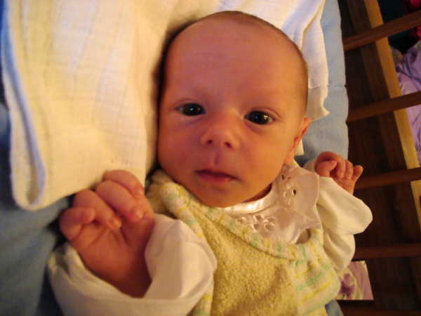 DSC00150.JPG